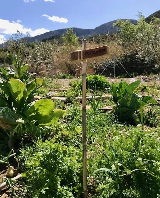 Rec On Project Spain, Artist Residency And Gallery La Mata  España