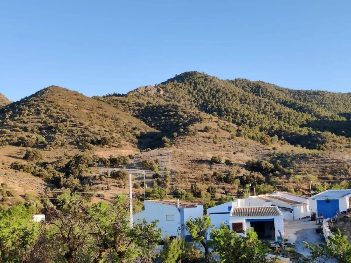 Rec On Project Spain, Artist Residency And Gallery La Mata